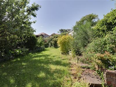 Picture 22